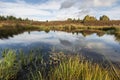 Autumn colour and moorland by small lochan on moor at Aviemore in the Cairngorms National Park of Scotland.