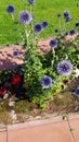 Lochmaben village, Lockerbie. Floral displays at memorial fountain