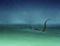 Lochness monster in the water in stormy weather Royalty Free Stock Photo