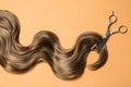 Lock of brown wavy hair and thinning scissors on color background