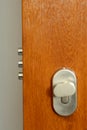 Lock - Detail of modern office door Royalty Free Stock Photo