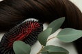 A lock of female hair, hairbrush and branch on light background Royalty Free Stock Photo