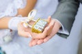 Lock in the hands of the newlyweds. Royalty Free Stock Photo