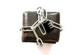 Lock leather purse with key chain.