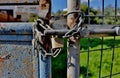 A lock on an old rusty gate Royalty Free Stock Photo