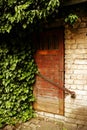 Locked aged weathered brown wooden door with greenery Royalty Free Stock Photo