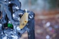 Locked on a bridge in Herastrau Park. Photo during the day.