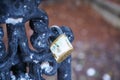 Locked on a bridge in Herastrau Park. Photo during the day.