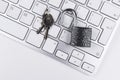 Locked computer safe from virus or malware attack. Laptop computer being protected from online cyber crime and hacking. Computer