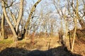 A locked iron gate in front of an empty space between bare trees in Blatenska street in Chomutov city in december 2017