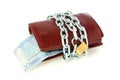 Locked wallet with euro currency Royalty Free Stock Photo