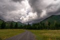 Lockett Meadow, Flagstaff, Arizona. Royalty Free Stock Photo