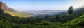 Panoramic view of the misty Lockhart Tea Park and estate in the early morning, Munnar, Kerala, India Royalty Free Stock Photo