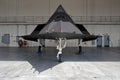 Lockheed Martin F-117 Nighthawk stealth fighter jet