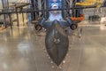 Lockheed SR 71 Blackbird Displayed at the Udvar-Hazy Center Smithsonian Air and Space Museum