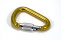 Locking Gold Carabineer Royalty Free Stock Photo