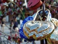 Locks of love and fidelity on the wedding trees of happiness Royalty Free Stock Photo