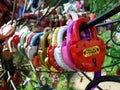 Locks of love and fidelity on the wedding trees of happiness Royalty Free Stock Photo