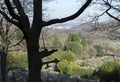 Lockwood Viaduct looking from Beaumont Park, Huddersfield