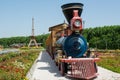 Locomotive at the garden near the flower field