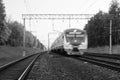 Locomotive on the tracks in the woods Royalty Free Stock Photo