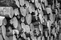 Fire wood stack Royalty Free Stock Photo