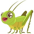 Locust, grasshopper vector cartoon isolated