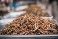 Locust Patanga is sold as a snack food at Chatuchak Weekend Market, Bangkok, Thailand