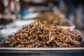 Locust Patanga is sold as a snack food at Chatuchak Weekend Market, Bangkok, Thailand