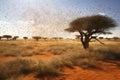 locust swarm creating a shadow on the african terrain
