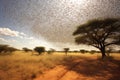 locust swarm creating a shadow on the african terrain