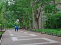 Locust Walk on the campus of the University of Pennsylvania