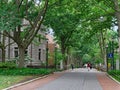 Locust Walk on the campus of the University of Pennsylvania