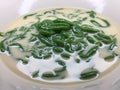 Lod Chong Dessert in Coconut Milk