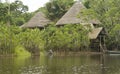 Lodge in the Ecuadorian Amazon