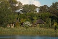 Lodge at Okawango river in Namibia Royalty Free Stock Photo