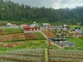 lodging in the middle of a garden at the foot of the mountain