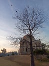 Lodhi garden beautiful nature image