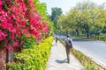 Lodhi Garden, New Delhi, India, 30 Mar 2019 - Beautuful Lodhi Garden with flowers, greenhouse, tombs and other sights