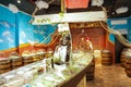 Lodz, Poland - July 09, 2022: Pirate skeleton lying on a ship replica in a colorful candy shop or store called sea of sweet