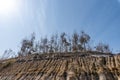 Loess and trees under blue sky and white clouds Royalty Free Stock Photo