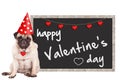 Loevel cute pug puppy dog wearing party hat with hearts, sitting next to blackboard sign with text happy valentine`s day, on white