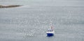 Fishing boat surrounded by sea gulls in Lofoten Archipelago, Norway, Europe Royalty Free Stock Photo