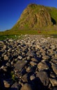 Lofoten islands Royalty Free Stock Photo