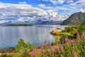 Lofoten islands landscape, Norway