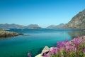 Lofoten seascape Royalty Free Stock Photo