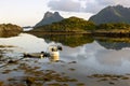 Lofoten - Mountains reflecting in water with small boats in the evening light