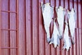 Lofoten - stockfish on the exterior wall