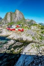 Lofoten Summer Landscape