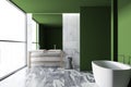 Loft green luxury bathroom interior, tub and sink Royalty Free Stock Photo